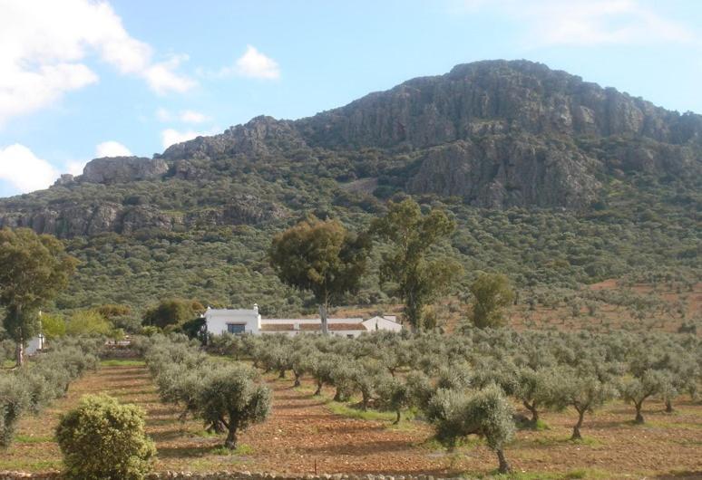 Casa Rural Sierra De Mampar Орначос Экстерьер фото